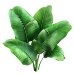 Oradentum is made of ingredients